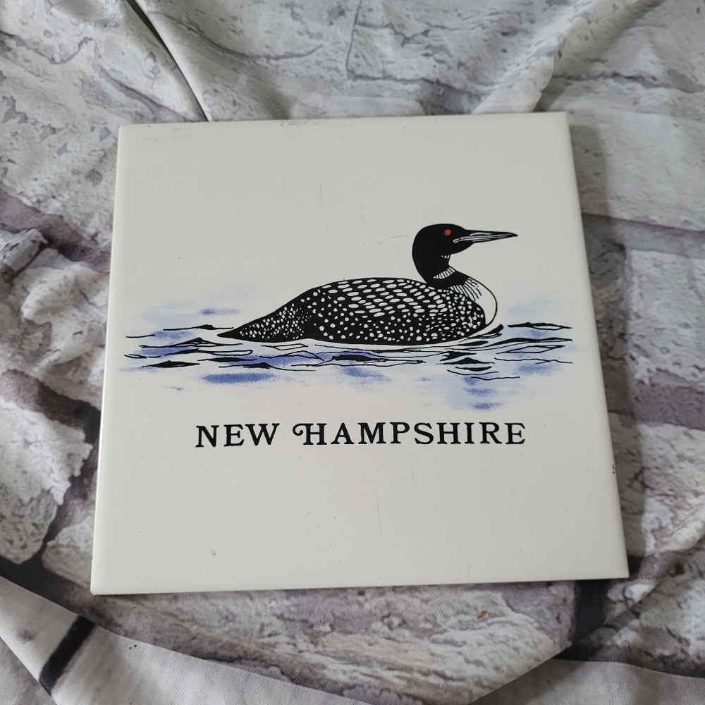 Art Tile Ceramic Wall Plate Trivet The Great Northern Loon Water Bird New Hampsh